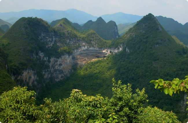 ��ɫ̼�R�ƾ�¡�ֺ��sɭ��׃�F(xi��n)