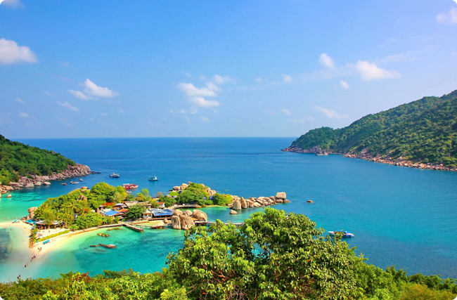 �{̼���𣺺���̼�R���ܚ���¸��